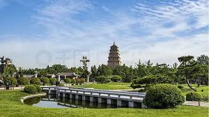 2026世界杯官网 万达的绿化工程师
